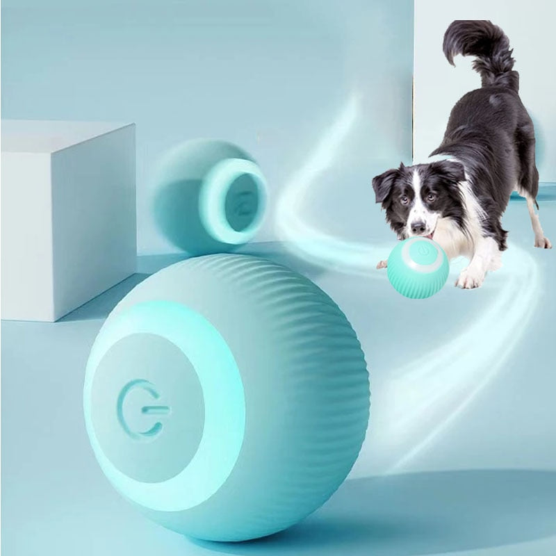 Unleash the Fun: The Electric Smart Dog Ball for Hours of Play and Learning