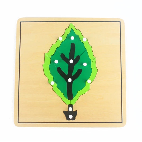 Kids Wooden Puzzle - Montessori - Koko Mee - Leaf