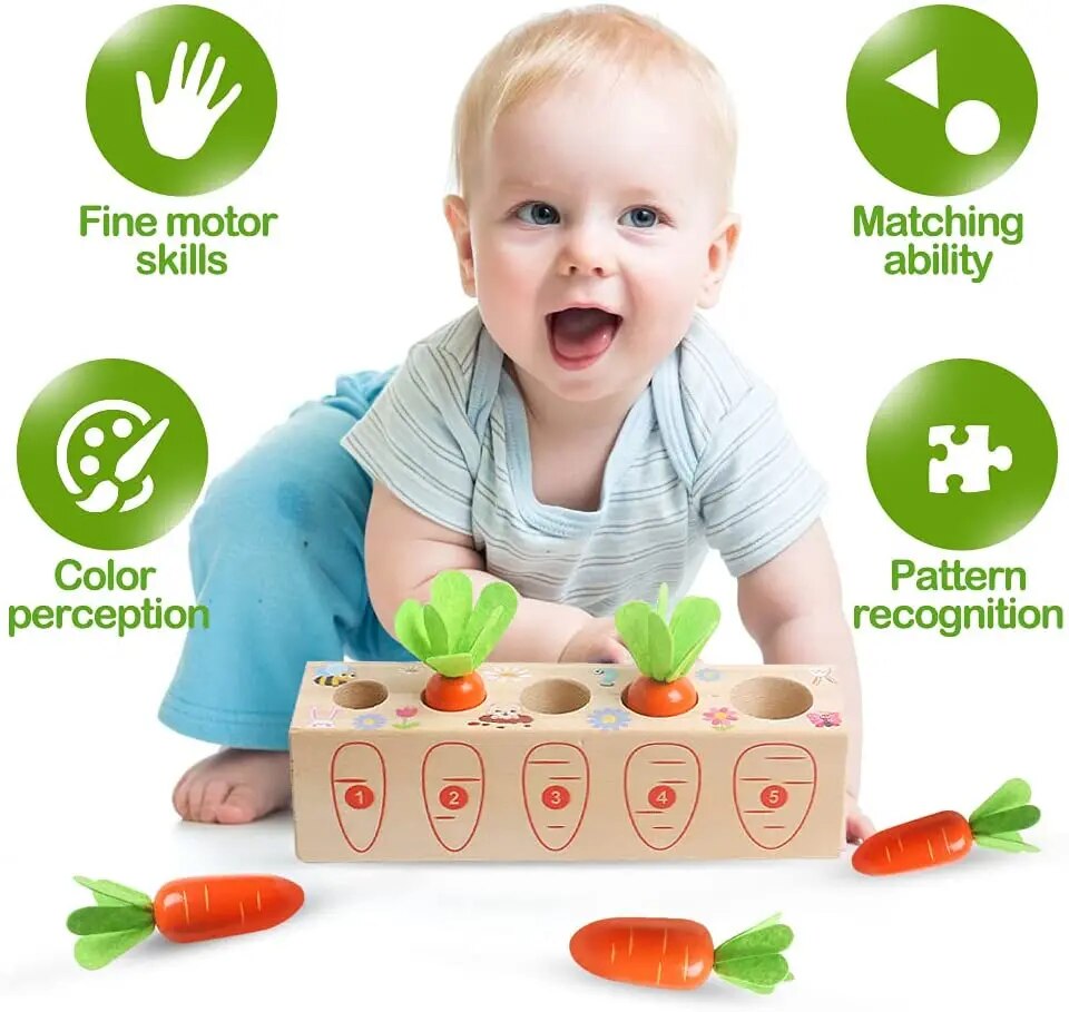 Kid's Pull Carrot Wooden Set - Koko Mee - Montessori